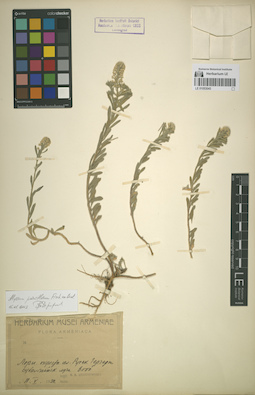LE 01053043