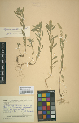 LE 01053044