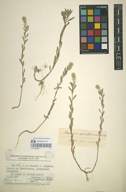 LE 01053045