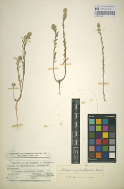 LE 01053046