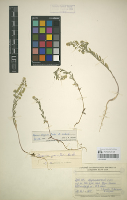 LE 01053047
