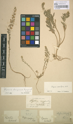 LE 01053050
