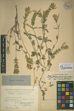 LE 01064162