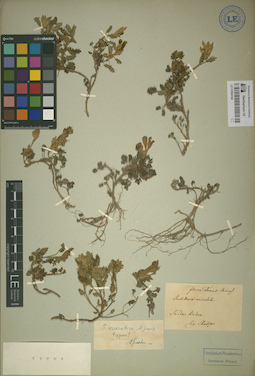 LE 01064164