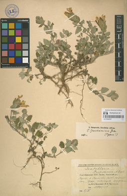 LE 01064167