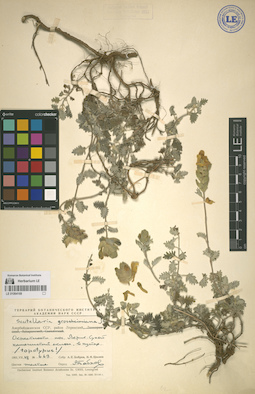 LE 01064168