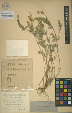 LE 01064170