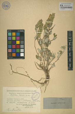 LE 01064174