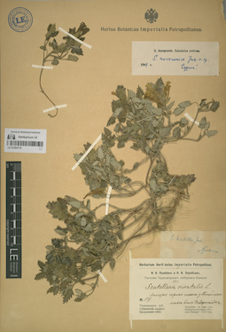 LE 01064179
