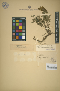 LE 01064181