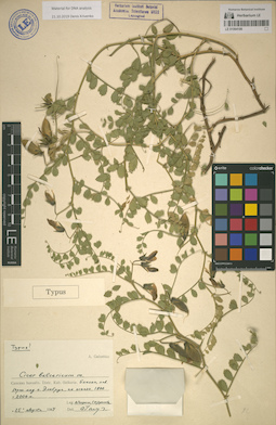 LE 01064186
