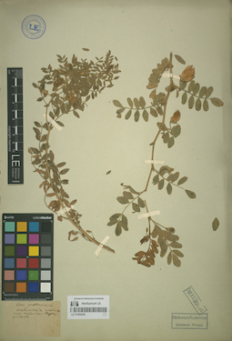 LE 01064242