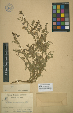 LE 01064248