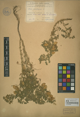 LE 01064249
