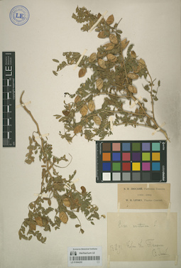 LE 01064250