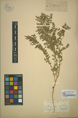 LE 01064263