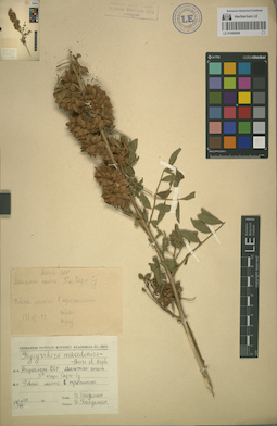 LE 01065606