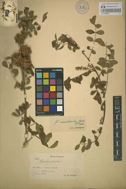 LE 01065609