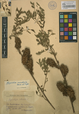 LE 01065610