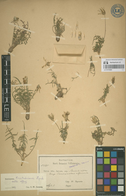 LE 01070885