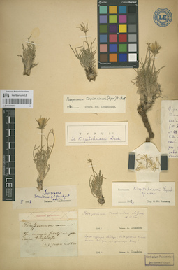 LE 01070886