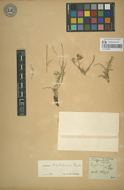 LE 01070887