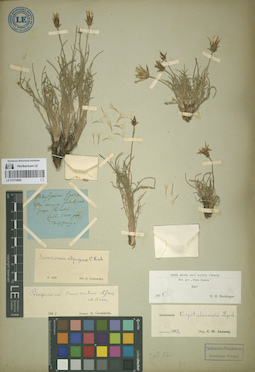 LE 01070888