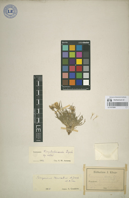 LE 01070889