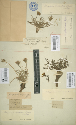 LE 01070890