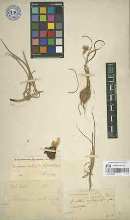 LE 01070893