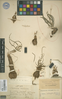 LE 01070894