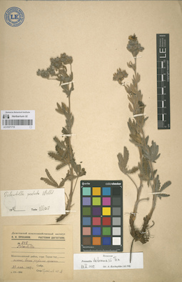 LE 01071719