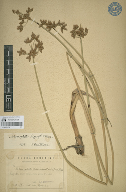 LE 01071776