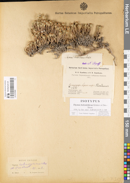 LE 01079980