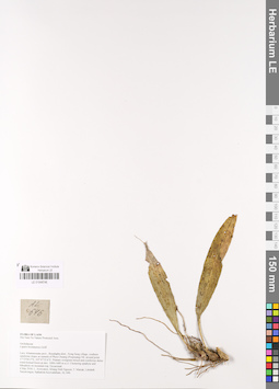 LE 01048746