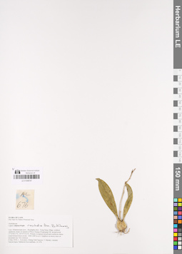 LE 01048747