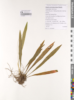 LE 01069555