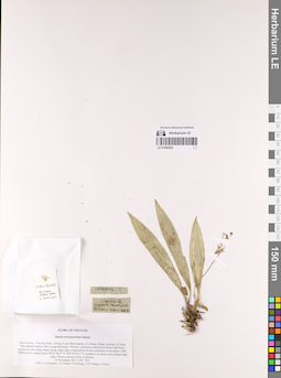 LE 01069562