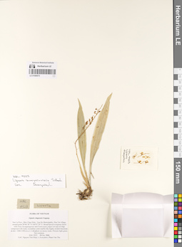 LE 01069573