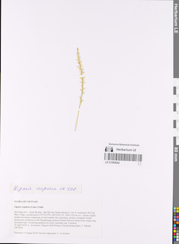LE 01069642