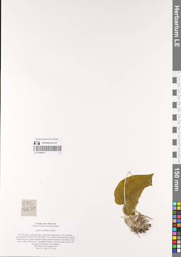 LE 01069676