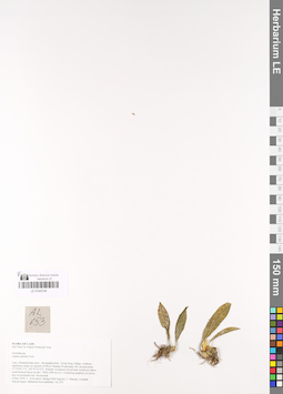 LE 01048748