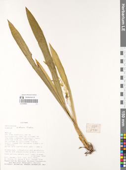 LE 01069841