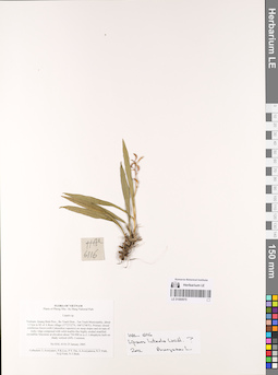 LE 01069970