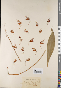 LE 01076887