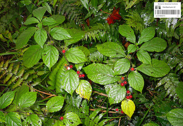 LE 01093073
