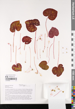 LE 01076932