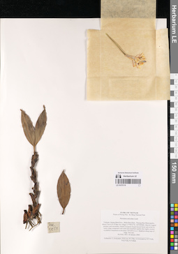 LE 01075119