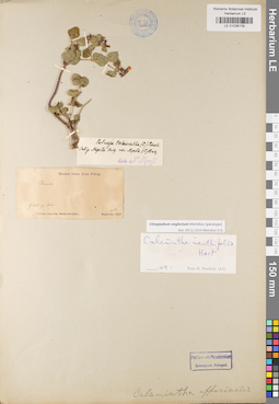 LE 01026179