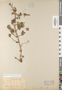 LE 01026187
